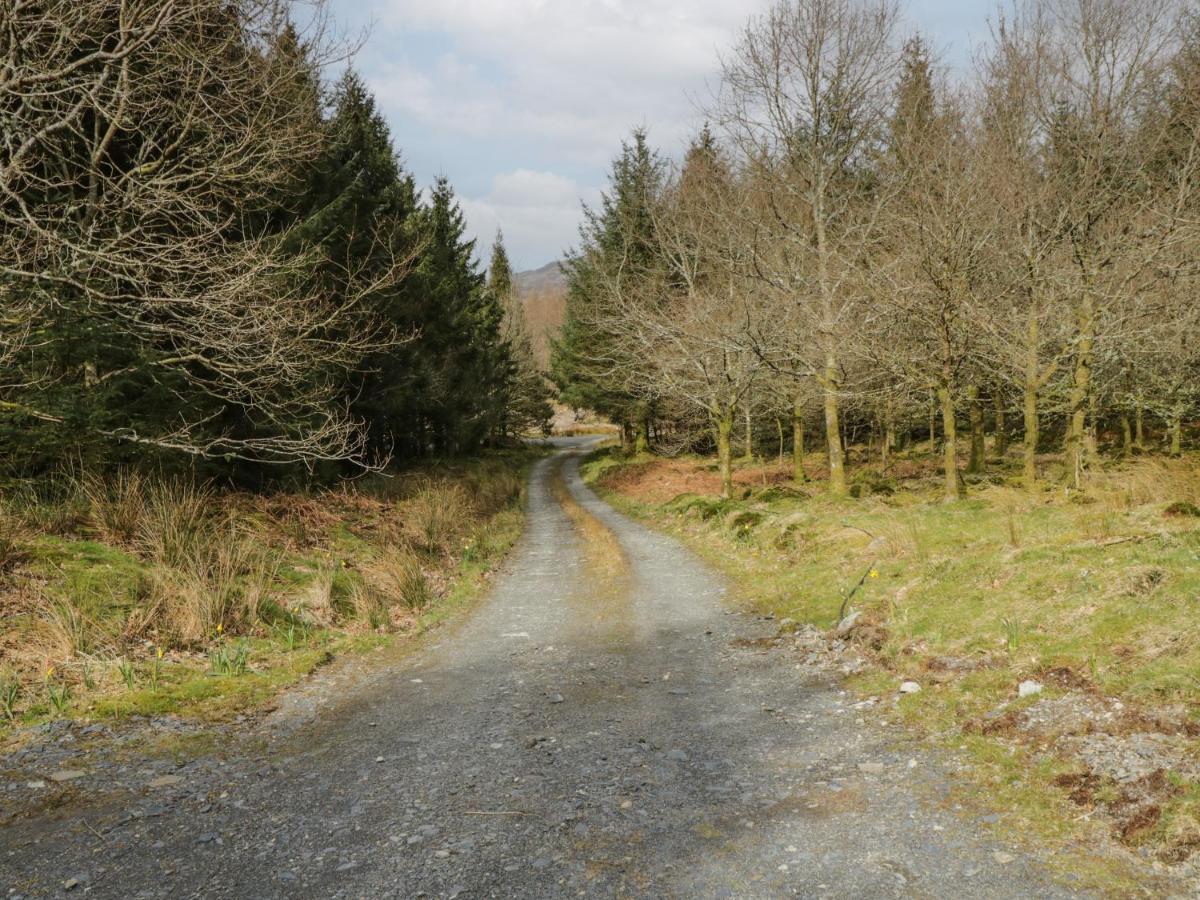 Brithgwm Canol Dolgellau Eksteriør billede